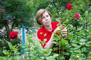 Ландшафтный дизайн Ландшафтный дизайн